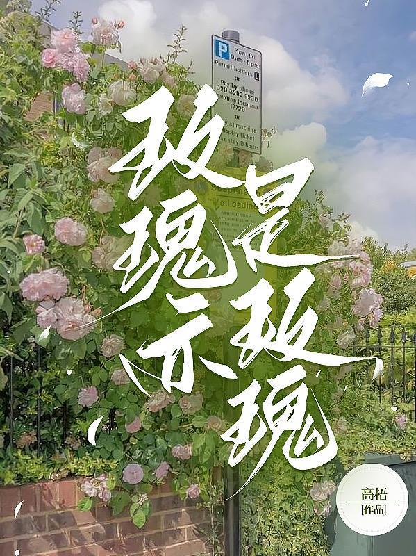 玫瑰亦玫瑰的
