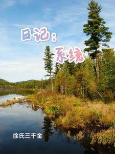 日记系统 穿越