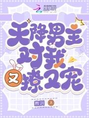 天降男仆