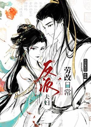 反派夫妇劳改日常晋江