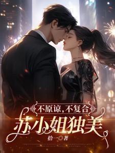 不原谅不复合苏小姐独美全文阅读