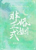 非正式婚姻TXT百度