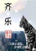 齐乐镇人民政府领导班子