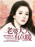 老婆大人有点暖百度阅读