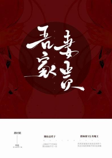 吾家妻贵全文无防盗