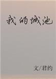 我的城池营垒电视剧剧情介绍