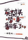 死对头互相替身翻车了作者林见树