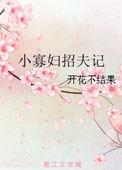 小寡妇招夫记在线阅读