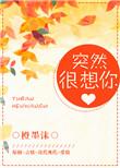 突然很想你下一句歌词