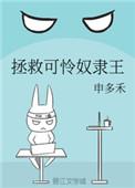 拯救可怜奴隶王好看吗