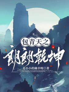 电视剧包公探案