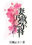 妻乃敌军之将哪章圆房