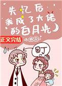 失忆后我成了大佬的白月光荒川黛