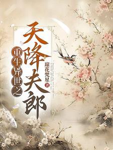 重生异世之天降夫郎讲的什么故事