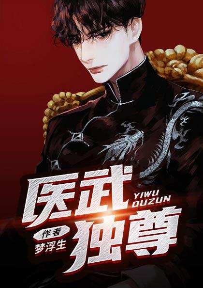 医武独尊后续