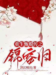 重生甄嬛传之锦容归txt