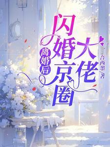 闪婚京圈大佬百度