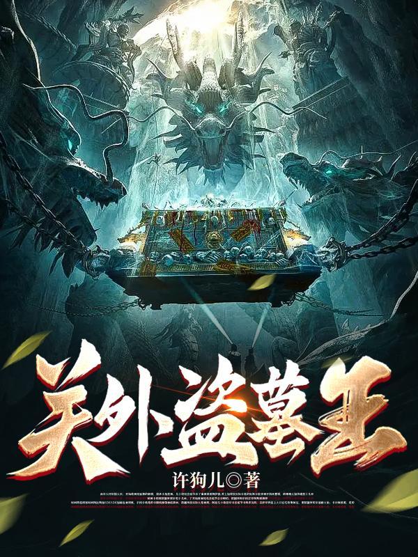 关中盗墓贼书籍