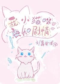 我的小猫啊